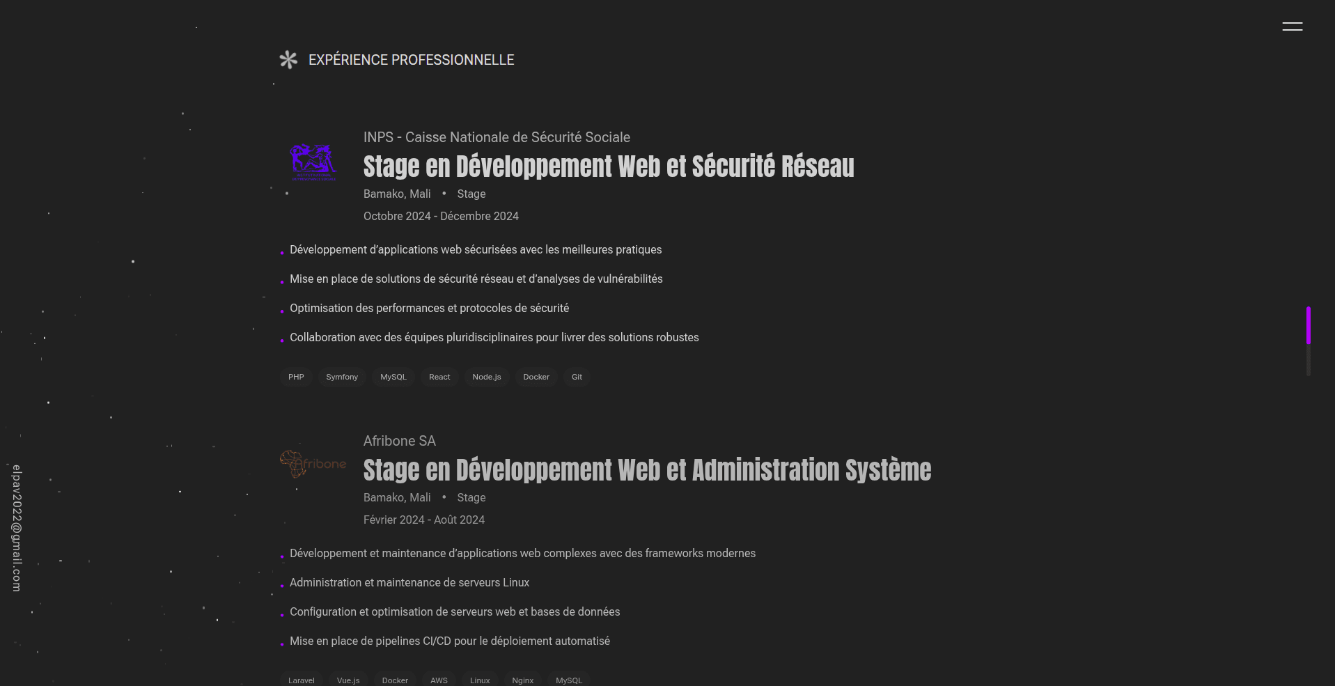 Professional Portfolio - Image 2