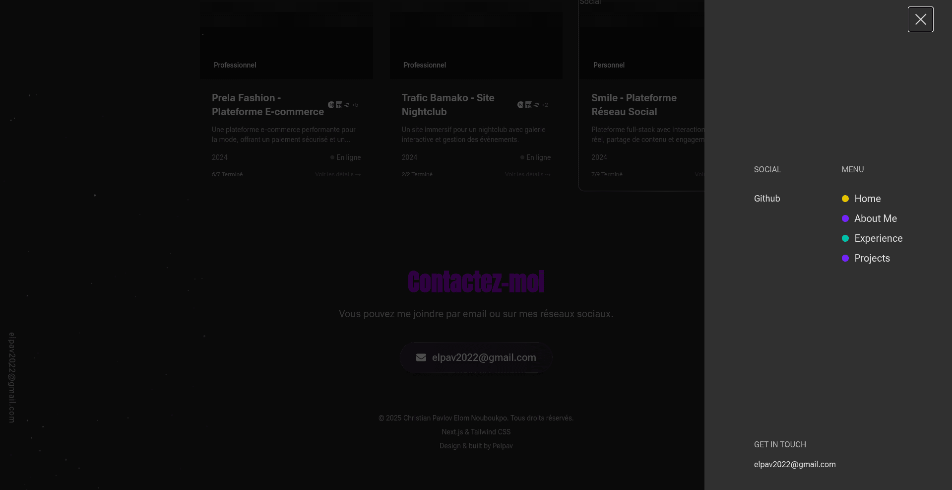 Professional Portfolio - Image 3